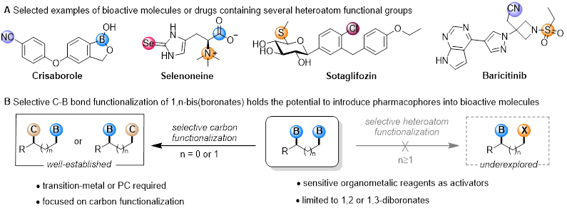 物质学院高得伟课题组实现硼-杂原子官能团的选择性交换反应